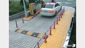 “도박자금 구하려고” 고의 교통사고 내고 버스서 ‘꽈당’ 무직 20대 구속