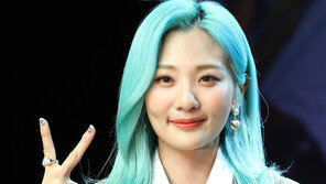 볼빨간사춘기 안지영 활동 잠정 중단…“불안증세 치료 집중”