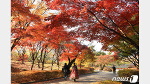 [날씨] 12일도 추운 아침, 포근한 낮…큰 일교차 계속