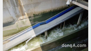 농어촌公, 뱀장어 전용 어도 특허 취득… “장어양식 어가 소득 증대 기대”