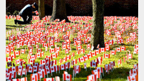 1차 세계대전 종전 D-1… 캐나다 참전용사 375명 상징하는 3만7500개 국기