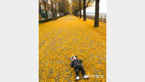 사색의 시간[고양이 눈]