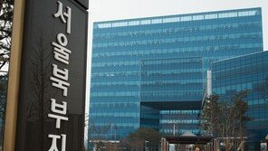 “내시경 못찾는 증상도 손으로 고친다” 70대 2심도 벌금형