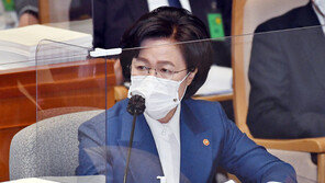 ‘정진웅 직무배제’ 대검 요청에…秋 “기소 강행 의혹 조사 먼저”