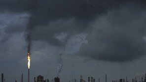 ‘온실가스 배출’ 헌법소원 낸 여중생…“어른들도 나서야”