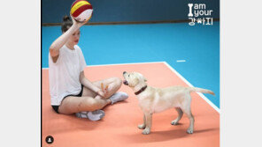 팔로어만 3000명…선수들 사랑 독차지하는 강아지 ‘킥스’를 아시나요?