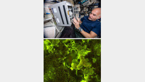 무중력 상태서 박테리아 이용해 희토류 만든다?