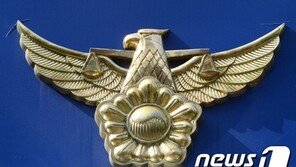 文대통령 사진에 음란물 합성…누리꾼 1명 검찰 송치