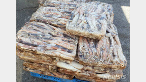 中에 수입된 인도産 냉동오징어 포장서 코로나19 검출