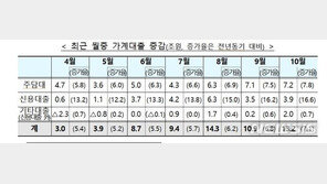 1억 이상 고액 신용대출 막힌다…고소득자에 DSR 확대 적용