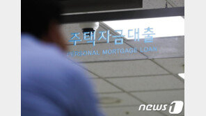‘영끌’ 못한다…8000만원 연봉자, 신용대출 1억 넘으면 대출규제