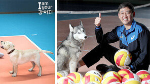 인스타 팔로어 3000명 넘긴 강아지 킥스를 아시나요