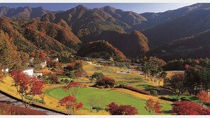 코스 리모델링… 사계절 ‘양탄자 잔디’ 인기