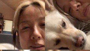 이상순, 아내 이효리 근황 공개…반려견과 평화로운 일상