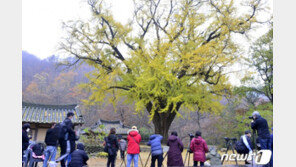 [날씨]15일 전국 구름많다 차차 맑아져…제주도 가끔 비