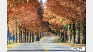 [날씨] 15일 전국 구름많다 차차 맑아져…미세먼지 곳곳 ‘나쁨’