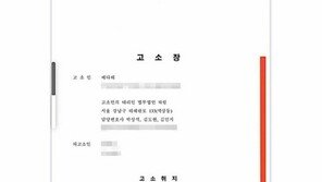 “좋아서 그랬다”…가수 배다해 괴롭힌 20대 경찰 조사