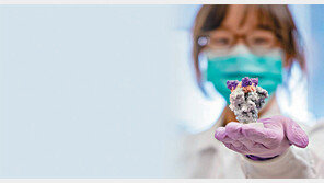 기존 치료제 강점만 ‘쏙쏙’… 나노단백질이 바이러스 잠재울까