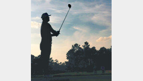 첫 출전에 챔프조…임성재의 새 역사