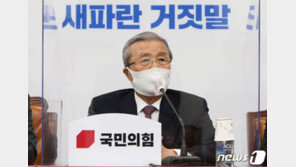 김종인 “부동산 사회주의 꿈꾸나…정부 규제대못 뽑겠다”