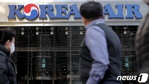 대한항공·아시아나항공 통합…항공산업 생존 위한 본게임 시작