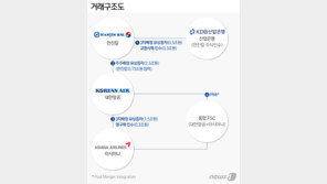 대한항공-아시아나 통합 ‘빅딜’…넘어야할 과제 ‘셋’