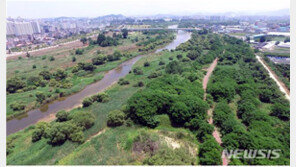 광주 황룡강 장록습지 대규모 아파트 추진 논란