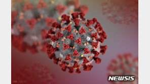 법원, 보건소 직원에 난동 부린 50대 여성 구속영장 기각