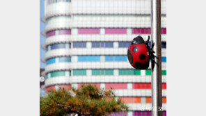 알록달록[고양이 눈]