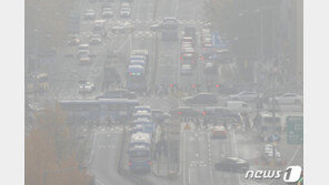 코로나도 벅찬데 초미세먼지까지…“KF80 이상 보건마스크 써야”