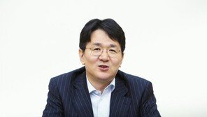 정부 입긴 커진 대한항공 경영권… 조원태 웃으려면 “성과 보여라”