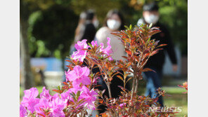 초겨울 맞아?…제주 낮 기온 26.7도까지 올라