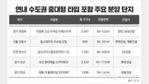 수도권 청약 올해 85㎡ 초과 평균 144대 1…중소형 대비 5배 치열