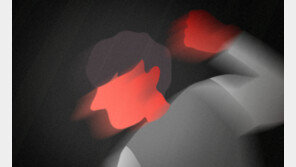 “내 기사 왜 썼어”…의자로 기자 머리 폭행한 포천시 직원