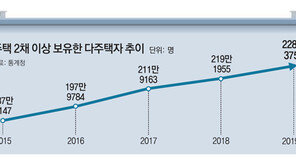 규제 강화에도… 작년 다주택자 9만명 늘어 228만 ‘역대 최대’
