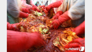 빨간 고무대야에 김장? 중금속 나올수도…비닐도 ‘이것’ 확인해야