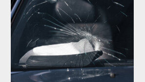 만취해 건물 옥상서 벽돌 투척한 20대…“반성했다” 집행유예