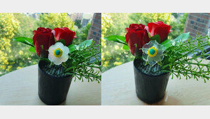  국민대 도영락 교수팀, 수분 변색 나노광학 필름 개발