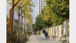 아우디폭스바겐코리아, 초록빛 꿈꾸는 통학로·교실숲 조성