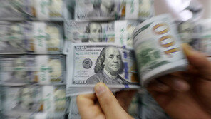 “달러 저렴할 때 사두자”… 외화예금 사상 최대치 경신