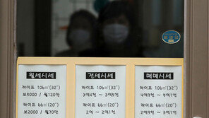 922만원 → 2367만원…文정부 이후 분당·일산 아파트 값 격차 2.6배로