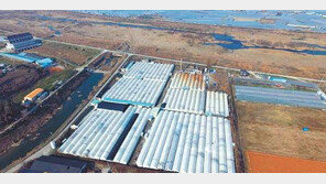 국내 최대 장어 양식장… 30계좌 한정 투자자 모집