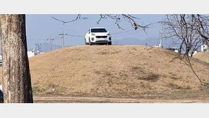 경주 왕족고분 위의 SUV… 市 “운전자 고발”