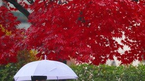 [날씨]20일 비 그친 뒤 기온 10도 이상 ‘뚝’…미세먼지 ‘보통’