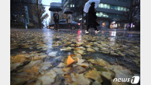 86㎜ 물폭탄·아침 17도…봄인지 여름인지 ‘얄궂은 11월’