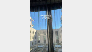 ‘코로나19 확진’ 조현우 “무사히 한국으로 갈 수 있기를”