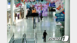 “면세쇼핑하고 기분만 내세요”…‘무착륙 국제관광비행’ 1년 허용