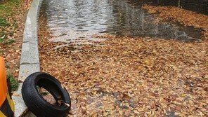 “여름철도 아닌데”…늦가을 폭우에 전국 곳곳 피해 속출