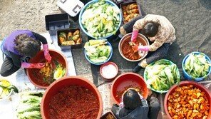 aT “올해 김장비용 안정세 유지”… 20포기 재료 구입비 29만9000원