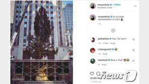 록펠러 트리서 아기올빼기 구조…“크리스마스 깜작 선물”